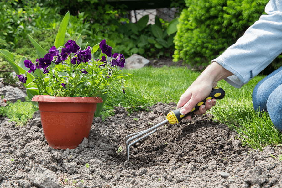 A woman's hand holds a gardening tool, digging in the dirt next to a potted purple flower outdoors in a garden.