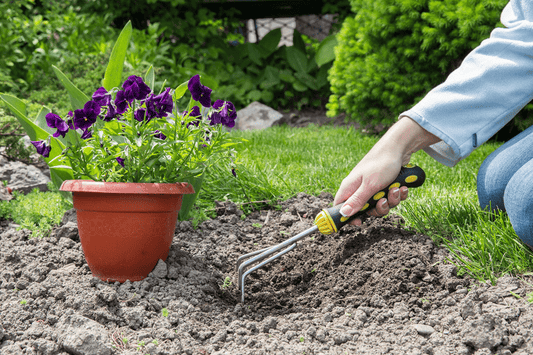 A woman's hand holds a gardening tool, digging in the dirt next to a potted purple flower outdoors in a garden.