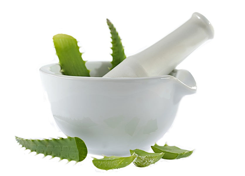 Whole Leaf Aloe Vera: Nature's Secret to Beautiful Hair