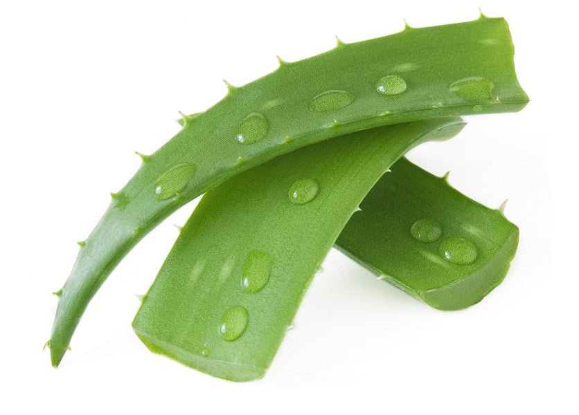 Whole Leaf Aloe Vera and Pain Relief